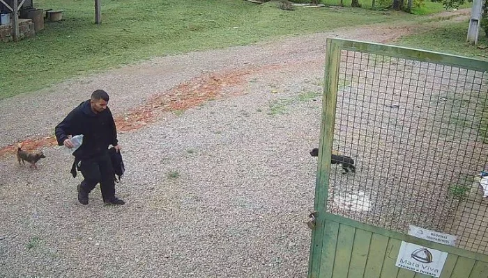 Vídeo mostra jovem perdido no Pico Paraná chegando a fazenda após quase cinco dias na mata, Roberto Farias, 19, pede socorro e é atendido por bombeiros