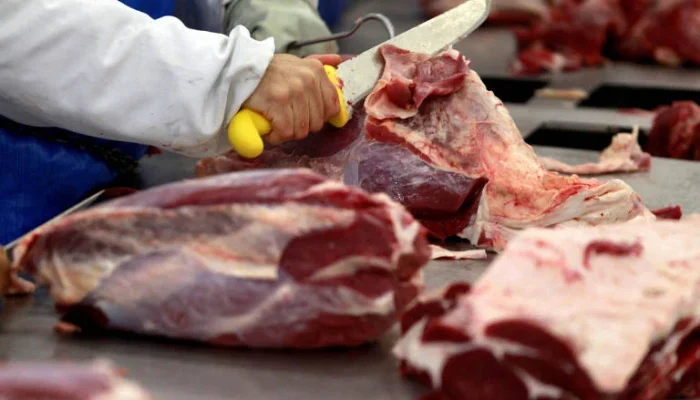 Brasil ainda não sabe se carne bovina em trânsito será computada nas cotas da China, cotas da China podem reduzir cota brasileira em 350 mil toneladas