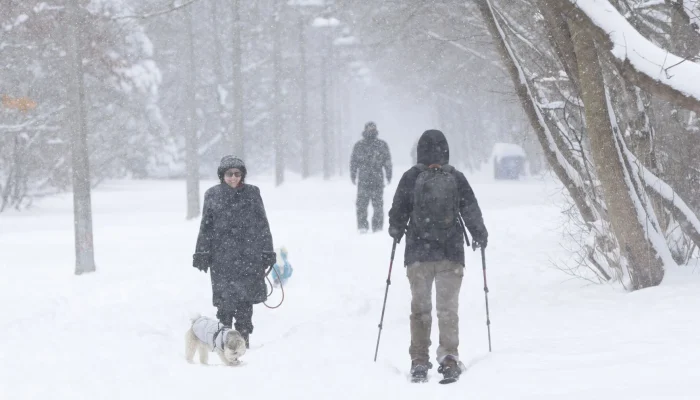 Neve em Toronto Quebra Recordes: Cidades em Alerta Máximo, Voos Cancelados e 200 Colisões Registradas
