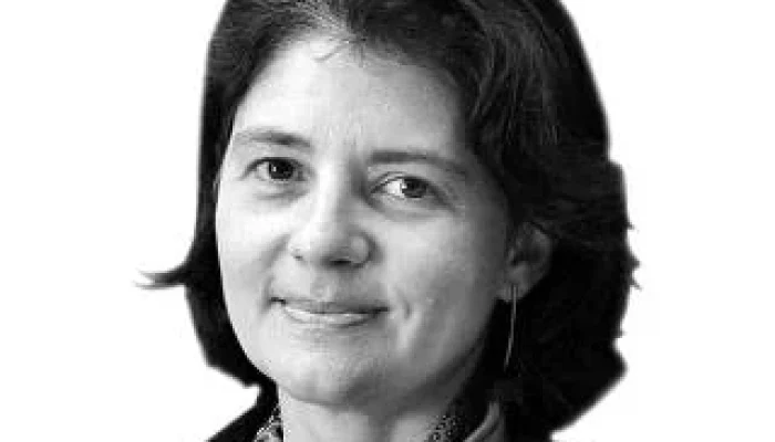 Neurociência em Alta Velocidade: Como a Estabilidade no Tobogã Revela o Segredo do Cérebro para Antecipar o Movimento