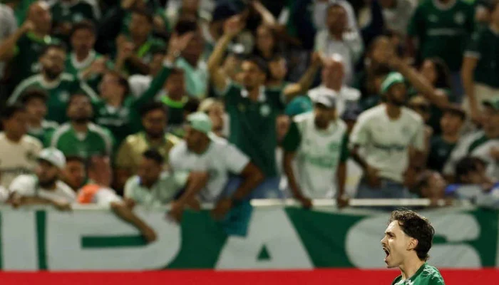 Palmeiras na Final do Paulista: Verdão Encara Novorizontino em Busca do Bicampeonato Histórico