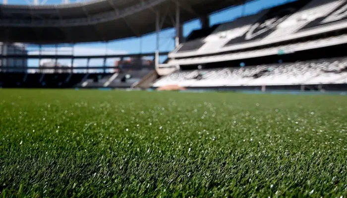 Botafogo é Eliminado e Multado pela CONMEBOL: Entenda as Irregularidades na Libertadores e o Futuro do Clube