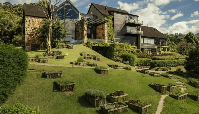 Jato, Hotel de Luxo e Mansões: A Fortuna do Ex-Banqueiro Daniel Vorcaro e a Prime You em Destaque