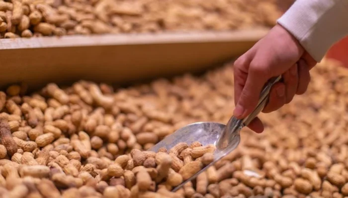 Amendoim: O Vegetal Surpreendente que Supera o Ovo em Proteína e Ajuda Músculos e Coração