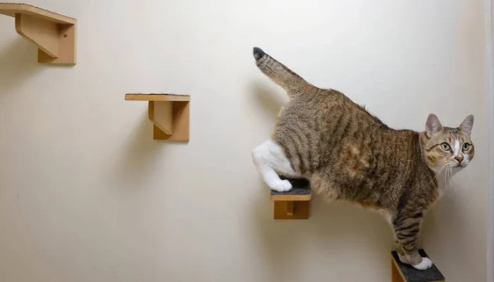 Mercado Pet Sofre Primeira Retração em Seis Anos: Inflação e Câmbio Impactam Faturamento