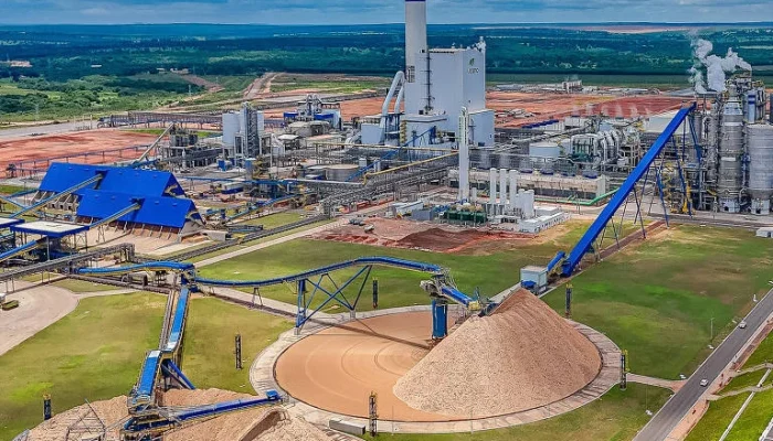 Suzano e Kimberly-Clark: Órgão Regulador do Reino Unido Investiga Joint Venture Bilionária de Papéis Sanitários