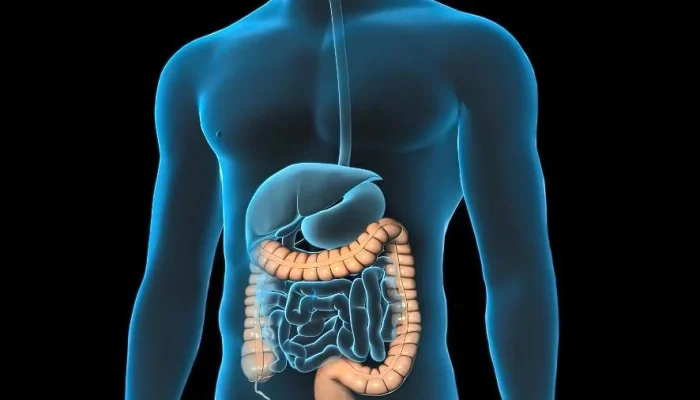 Câncer Colorretal: 5 Fatos Essenciais que Seu Médico Deseja Que Você Saiba Agora