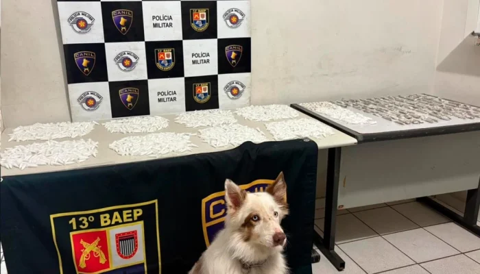 BAEP apreende 1840 porções de drogas na Vila Barros em Marília durante patrulhamento tático