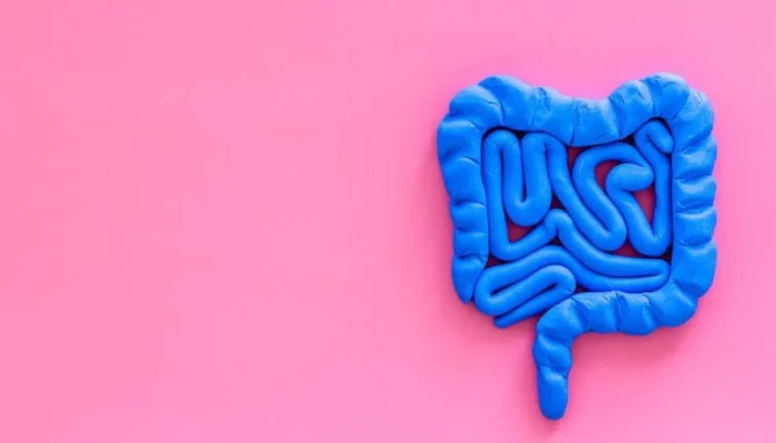 Inteligência Artificial Revela Sinais no Intestino Que Podem Antecipar Câncer Gástrico e Colorretal, Diz Estudo