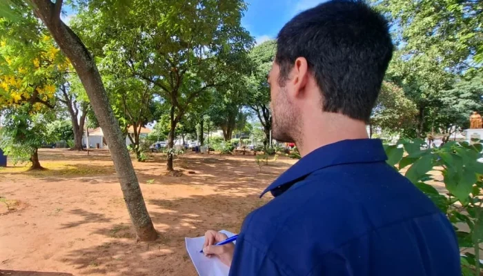 Tupã Investe em Arborização Urbana: Plano Municipal Foca em Saúde, Qualidade de Vida e Sustentabilidade para Cidadãos