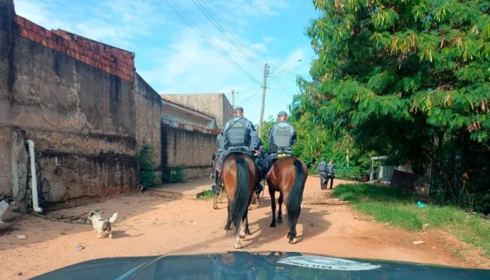 Operação Policial em Marília: Cavalaria e Cães Farejadores Revelam Grande Apreensão de Drogas e Levam Jovem à Prisão