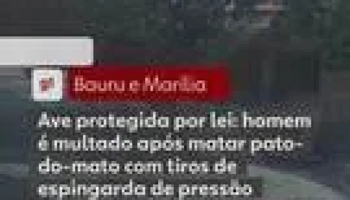 Pato-do-mato abatido para consumo: Homem é multado em R$ 500 por matar ave protegida por lei em Salto Grande (SP)