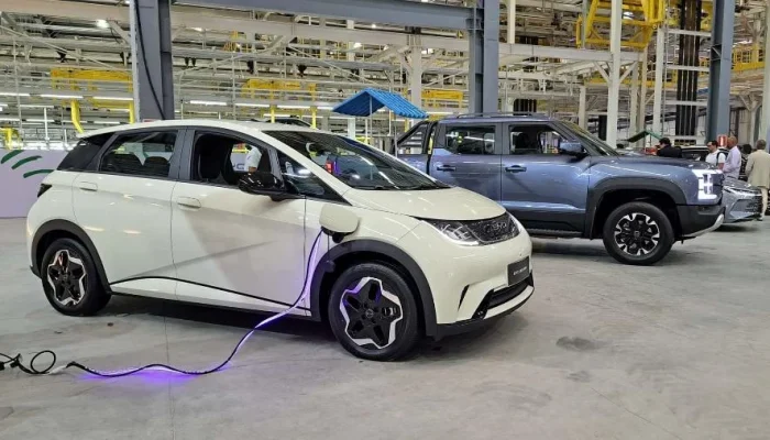 Carros Elétricos Fora da Garantia: O Guia Definitivo para Evitar um Prejuízo Gigante em 2024
