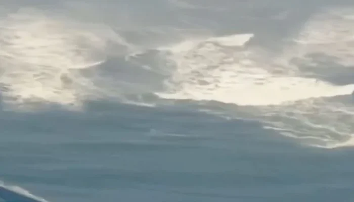 Japão em Alerta: Terremoto de Magnitude 7,5 Gera Evacuações e Medo de Tsunami na Costa Nordeste