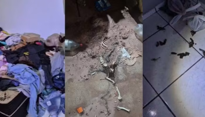 Criança Resgatada com Pulgas e Ossada de Animal em Casa Imunda: Mãe Presa por Abandono em Assis, SP