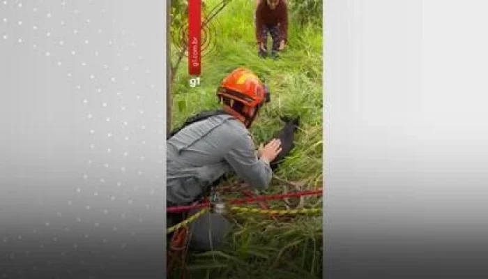 Heróis de Quatro Patas: Bombeiros em Marília Realizam Resgate Dramático de Cães Presos em Penhasco de 30 Metros