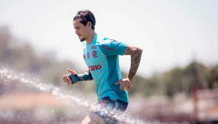 Lesão Muscular de Pedro Abala Flamengo às Vésperas da Final da Libertadores: Exames Confirmam Preocupação e Tratamento Imediato