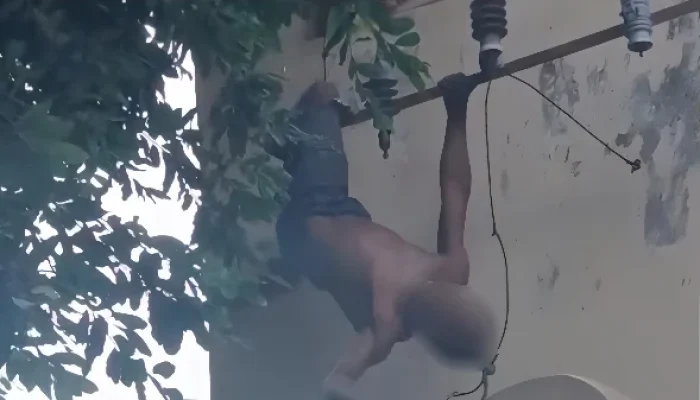 Homem em Situação de Rua Fica Pendurado de Cabeça Para Baixo Após Levar Choque Elétrico ao Tentar Furta Fios em Escola de Belém; Vídeo Choca