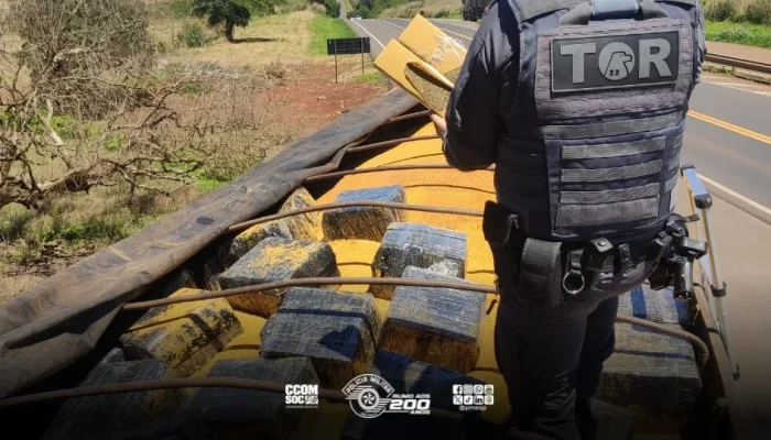Mega Apreensão de Maconha em SP: Mais de 1 Tonelada da Droga Capturada em Rodovia