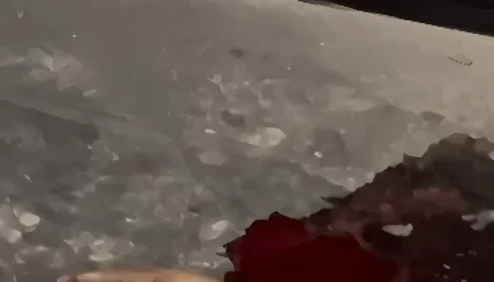 Homem armado é morto pela PM em casa de prostituição em Campinas após reagir a abordagem