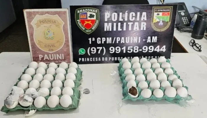 Mulher é presa com drogas escondidas em ovos de galinha ao tentar entrar em delegacia no AM