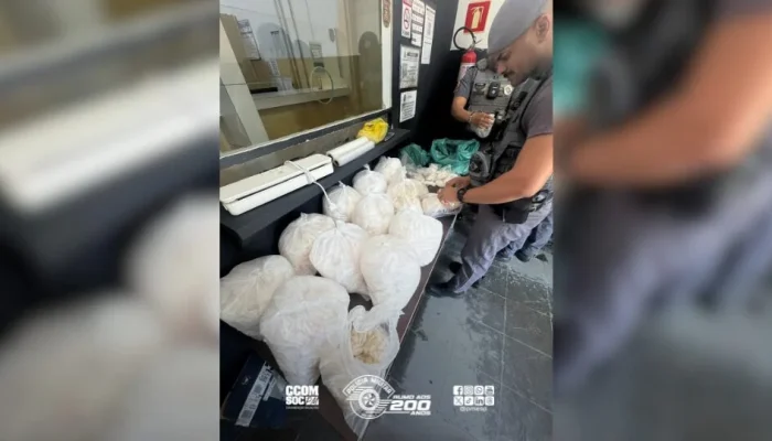 Chacina em Hortolândia: Polícia Militar desmantela ponto de tráfico e prende suspeito com cocaína, crack e maconha perto de escola