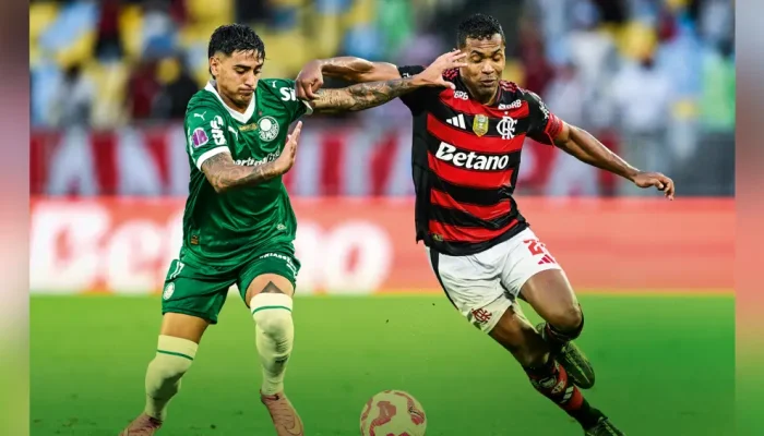 Futebol Brasileiro: Flamengo e Palmeiras Dominam, Mas A Que Custo? Entenda a "Espanholização" e o Futuro do Jogo