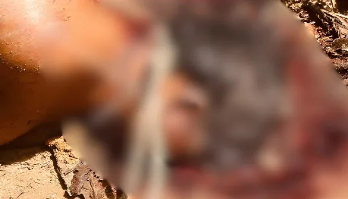 Homem é Encontrado Morto com Bilhete Macabro Ligando CV e Rocam em Manaus