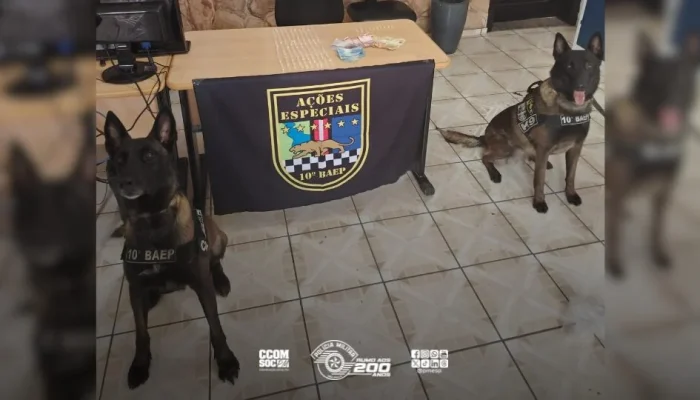 Polícia Militar de Sumaré Desmantela Ponto de Tráfico em Área de Mata: Mais de 150 Porções de Drogas Apreendidas