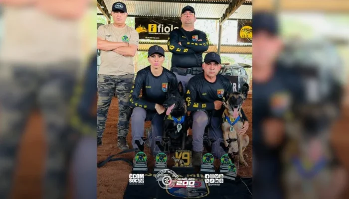 Cães Policiais Paulistas Conquistam o Pódio no Campeonato Sul-Americano em Goiânia: Oito Vezes Campeões!