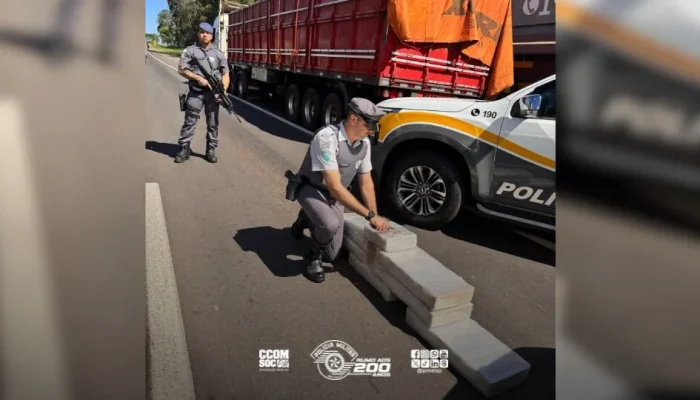 Operação Policial Impacto: Mais de 100kg de Maconha são Apreendidos em Presidente Prudente, SP