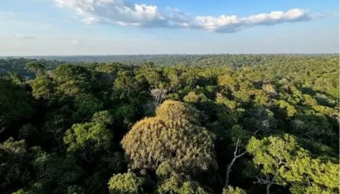 Congresso Derruba Vetos de Lula e Reabre Brechas no Licenciamento Ambiental, Impactando Setores Chave