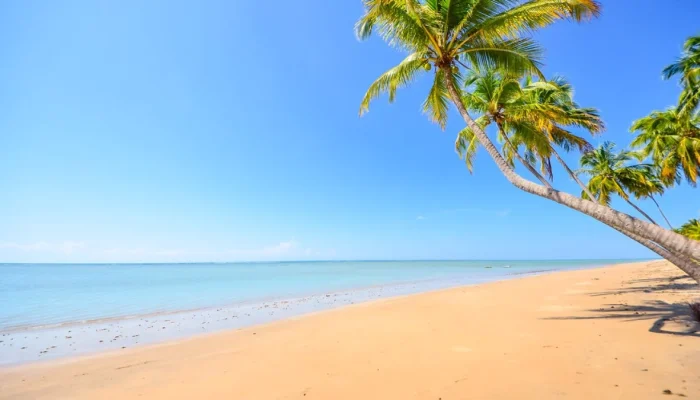 Bandeira Azul: Descubra 5 Joias Litorâneas Brasileiras Premiadas por Qualidade e Preservação em 2025