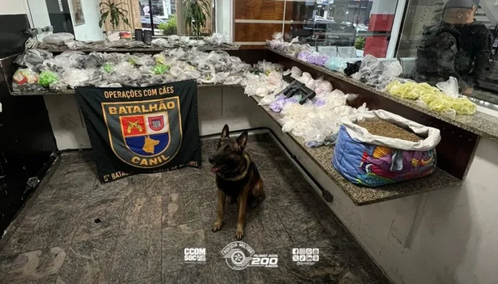Polícia Militar de SP desmantela esquema e apreende 56kg de drogas em Embu das Artes com ajuda de cão farejador