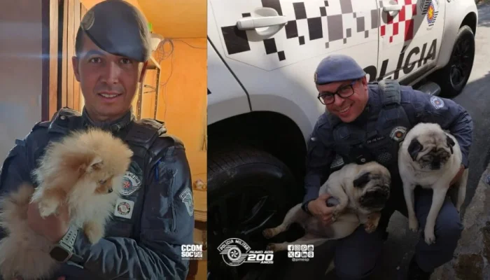 Maus-tratos em Arujá: Mais de 60 Cães Resgatados em Condições Cruéis; Dois Presos pela Polícia Militar