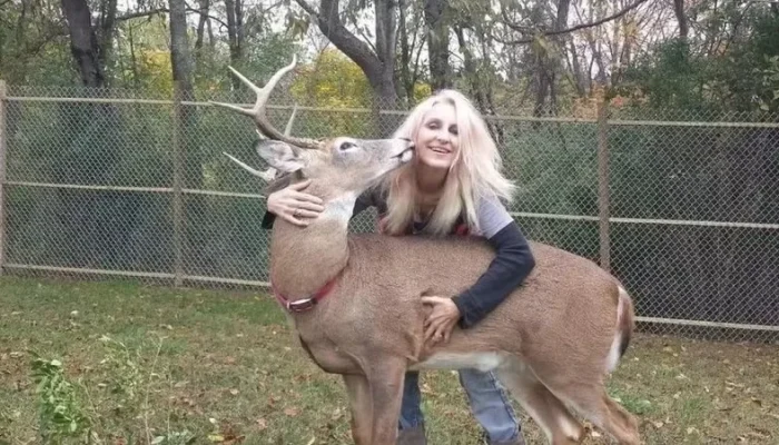 Tragédia em Ohio: Mulher que cuidava de cervos há 12 anos morre após ataque brutal de animal que criava