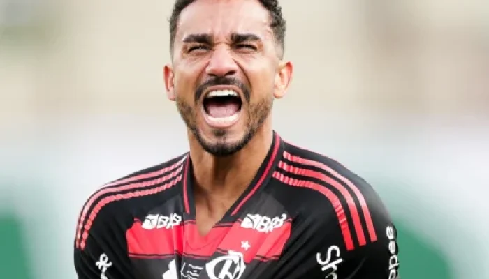 Flamengo Imbatível na Libertadores 2025: Sete Jogadores na Seleção Ideal da Conmebol e Craques do Campeão Dominam a Lista