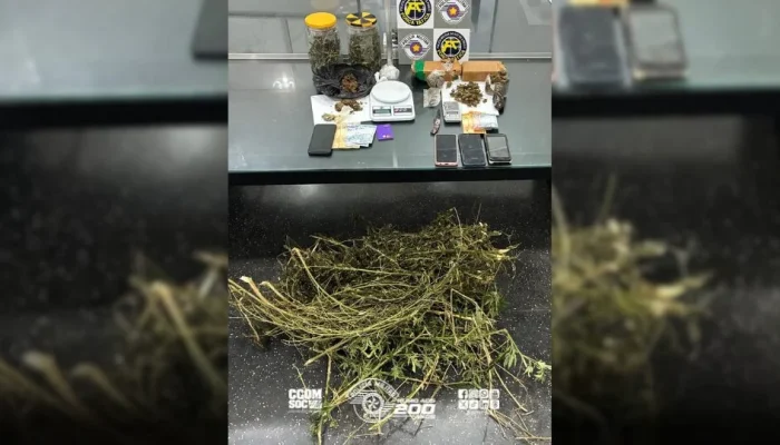 Operação Policial em Jales: Dupla é Presa com Mais de 3,7kg de Maconha e Haxixe em Pontos Estratégicos