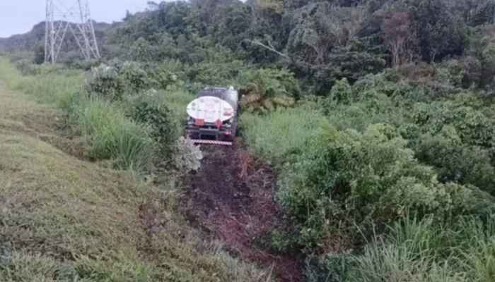 Besouro Corajoso Causa Acidente Surpresa: Caminhão Despenca 18 Metros em Ribanceira Após Inseto Invadir Cabine