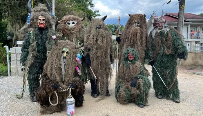 Vídeo: criaturas misteriosas’ invadem praia em Santa Catarina e despertam curiosidade; entenda