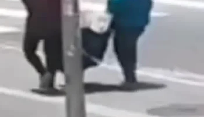 Ladrões de Obras de Portinari e Matisse Fogem Tranquilos Pelas Ruas de SP: Câmeras Capturam Roubo Histórico na Biblioteca Mário de Andrade