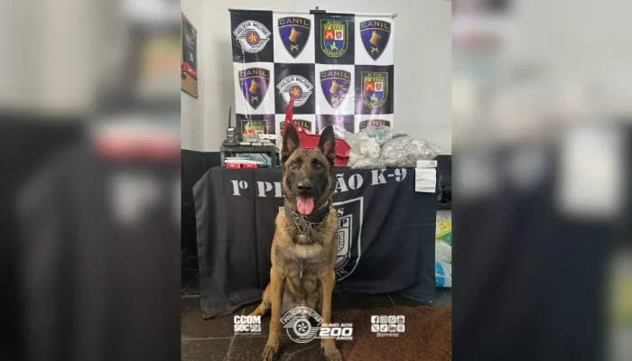 Polícia Militar de SP desmantela laboratório de drogas em Embu das Artes: 18 kg de entorpecentes apreendidos